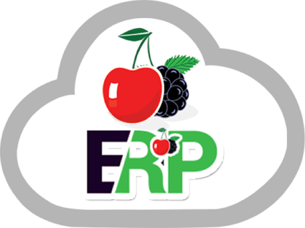 Cherry Berry ERP – Enterprise Resource Planning