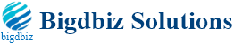 Bigdbiz Solution