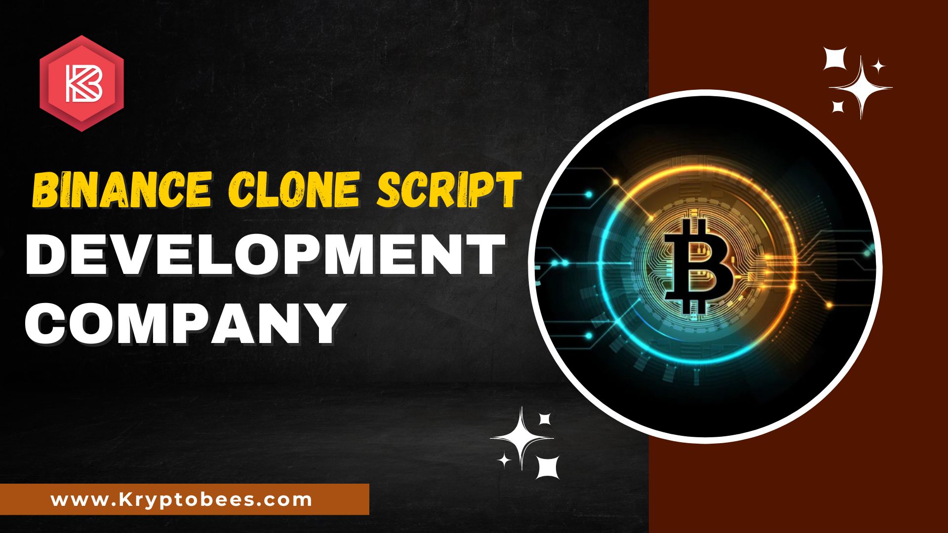 Binance Clone Script | Kryptobees